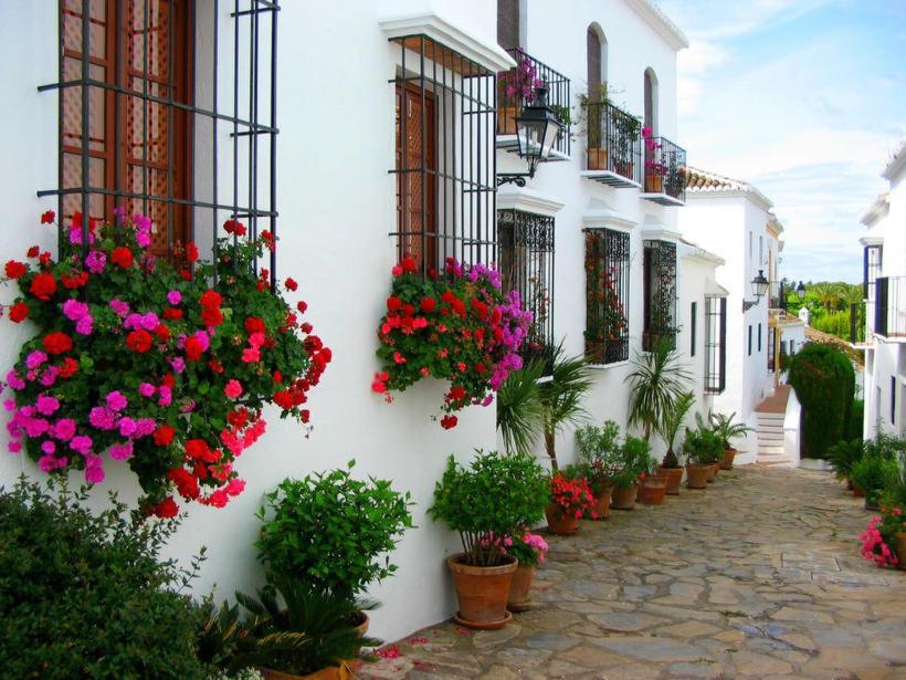 Апартаменти Marbella Hills Екстер'єр фото